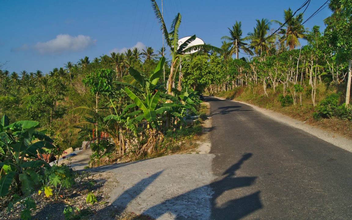 Photo of Others in Penida Island