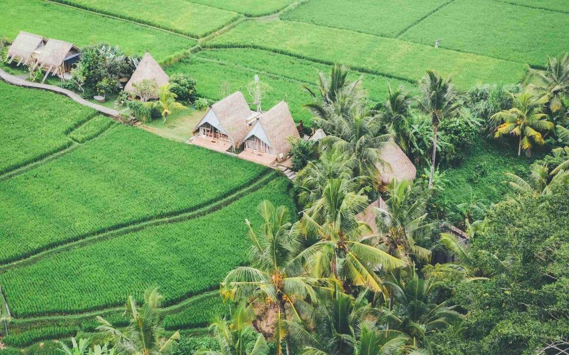 Photo of Others in Peliatan