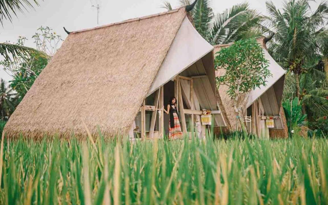 Photo of Others in Peliatan
