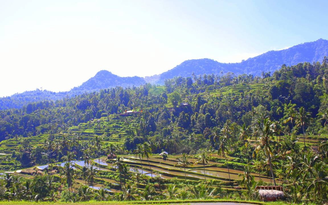 Photo of Others in Sawan