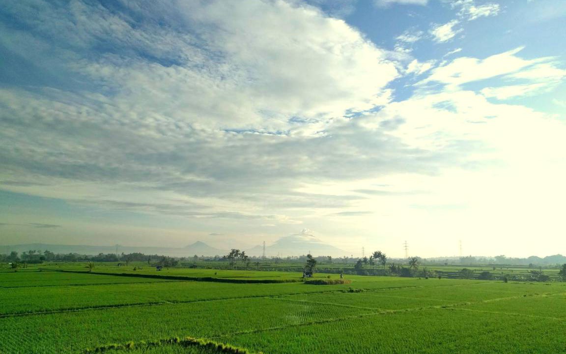 Photo of Others in Mengwi