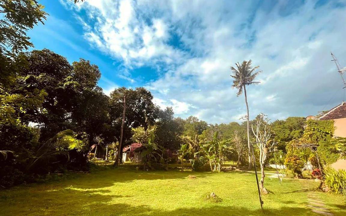 Photo of Others in Penida Island