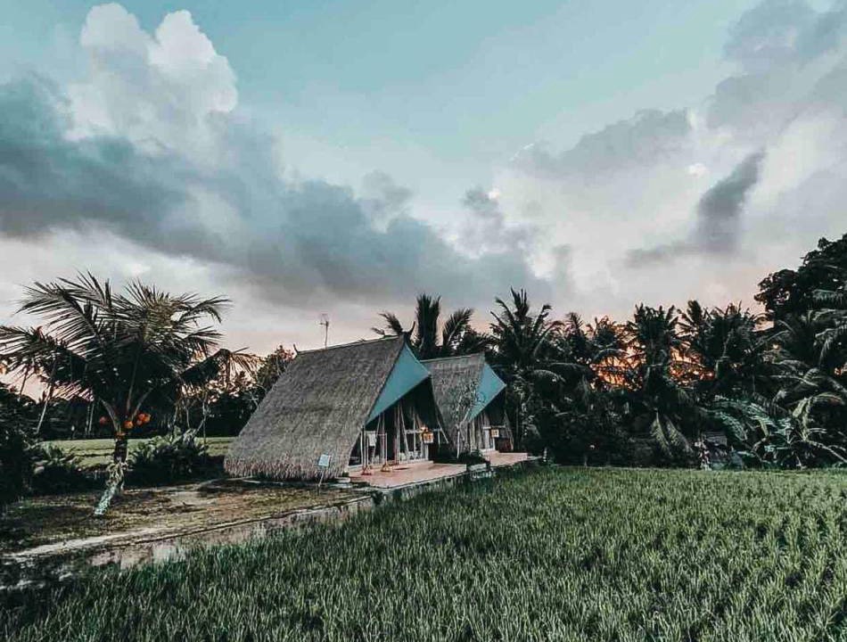 Photo of Others in Peliatan