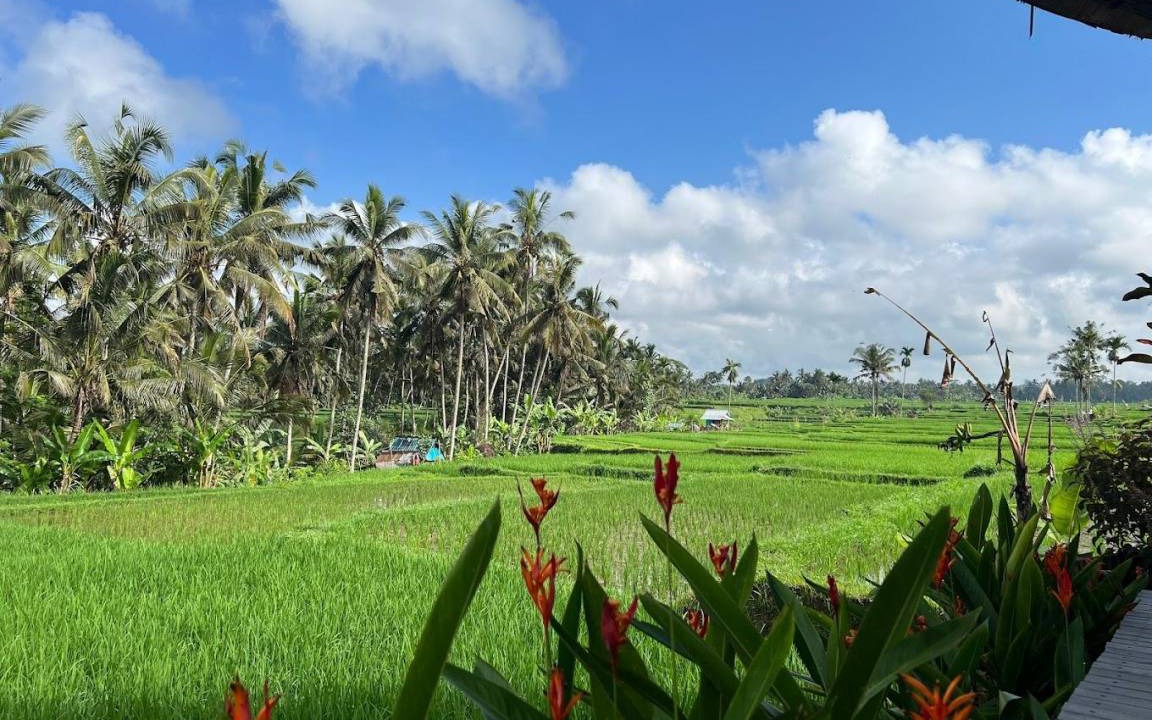 Photo of Others in Payangan