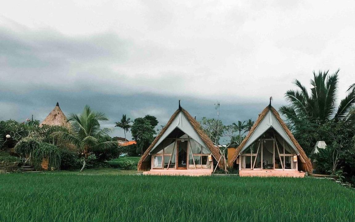 Photo of Others in Peliatan