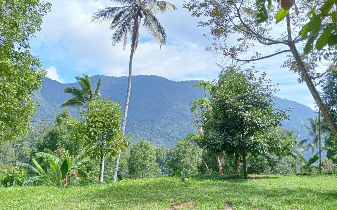 Photo of Outdoor in Sawan