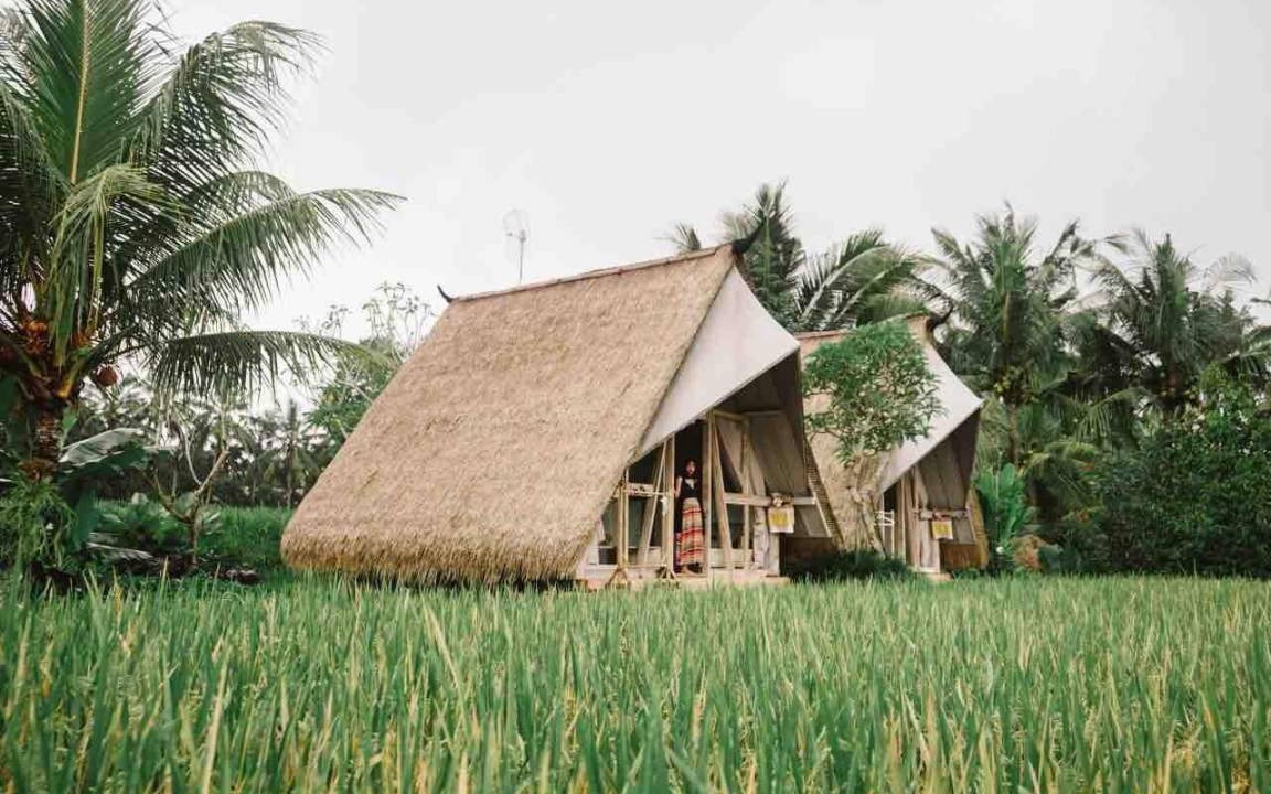 Photo of Others in Peliatan