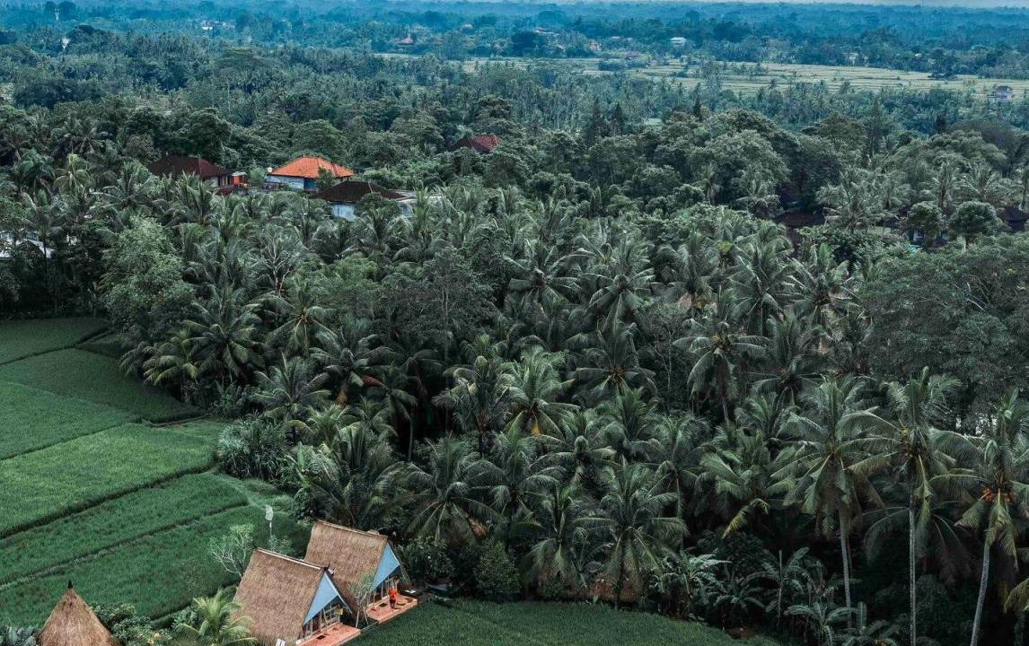 Photo of Others in Peliatan