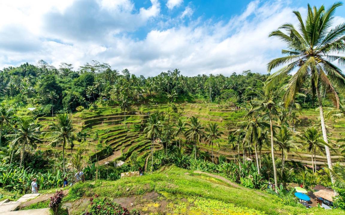 Photo of Others in Payangan