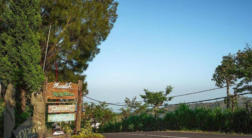 Photo of Outdoor in Munduk