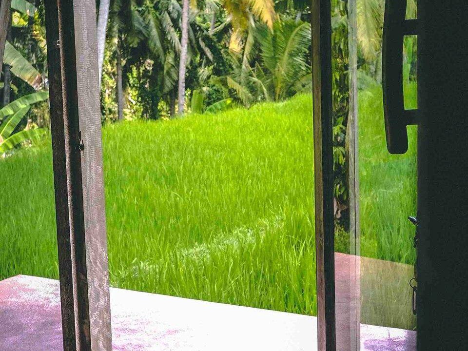 Photo of Others in Peliatan