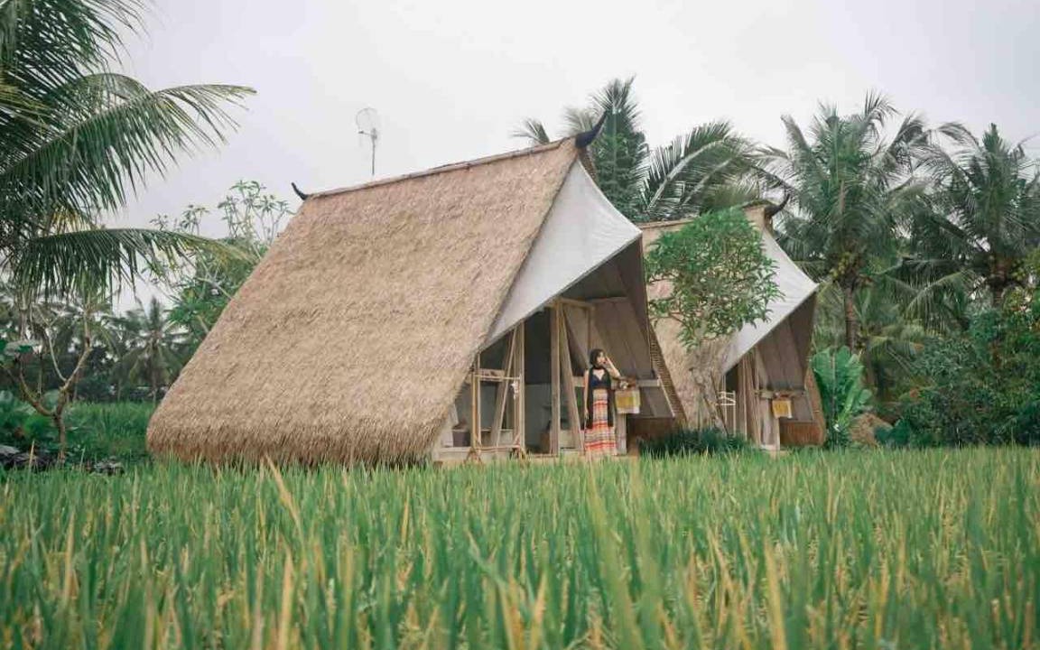 Photo of Others in Peliatan
