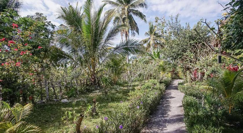 Photo of Outdoor in Penida Island