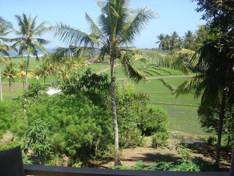 Photo of Others in Pekutatan