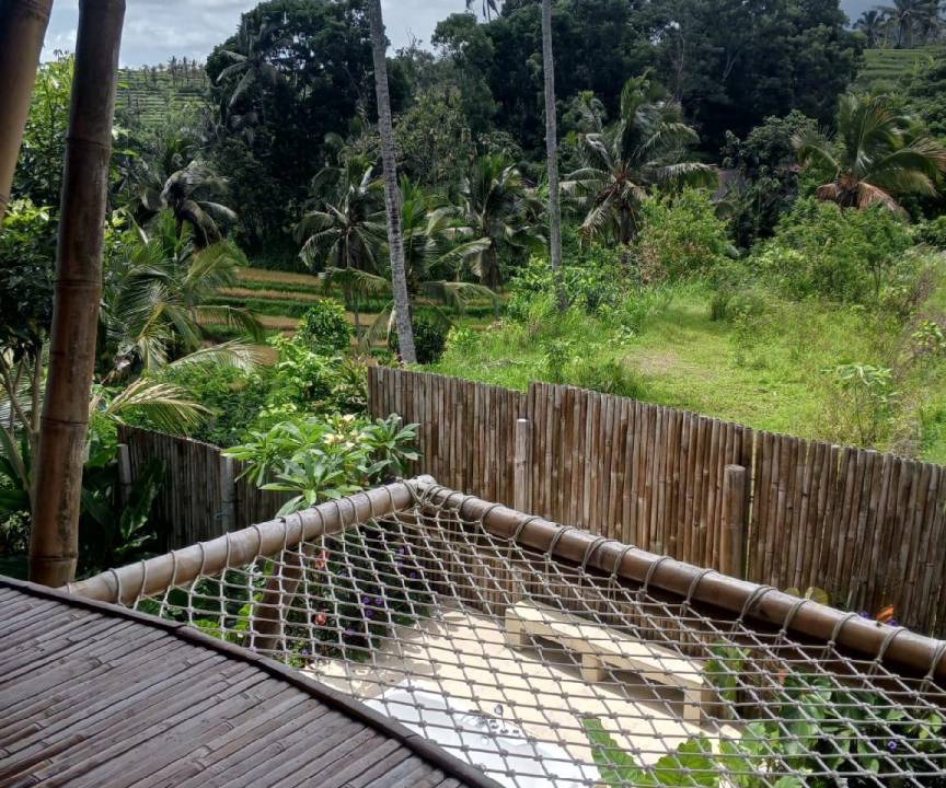 Photo of Others in Kerambitan