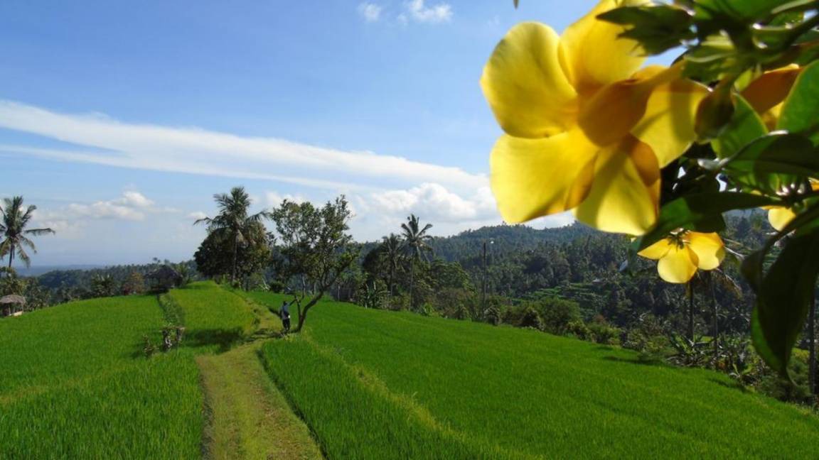 Photo of Others in Sawan