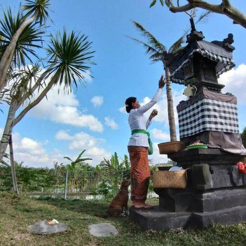 Photo of Others in Selat