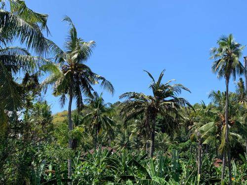 Photo of Others in Padangbai