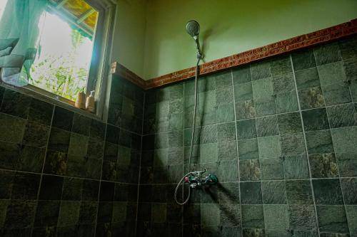 Photo of Bathroom in Sebatu