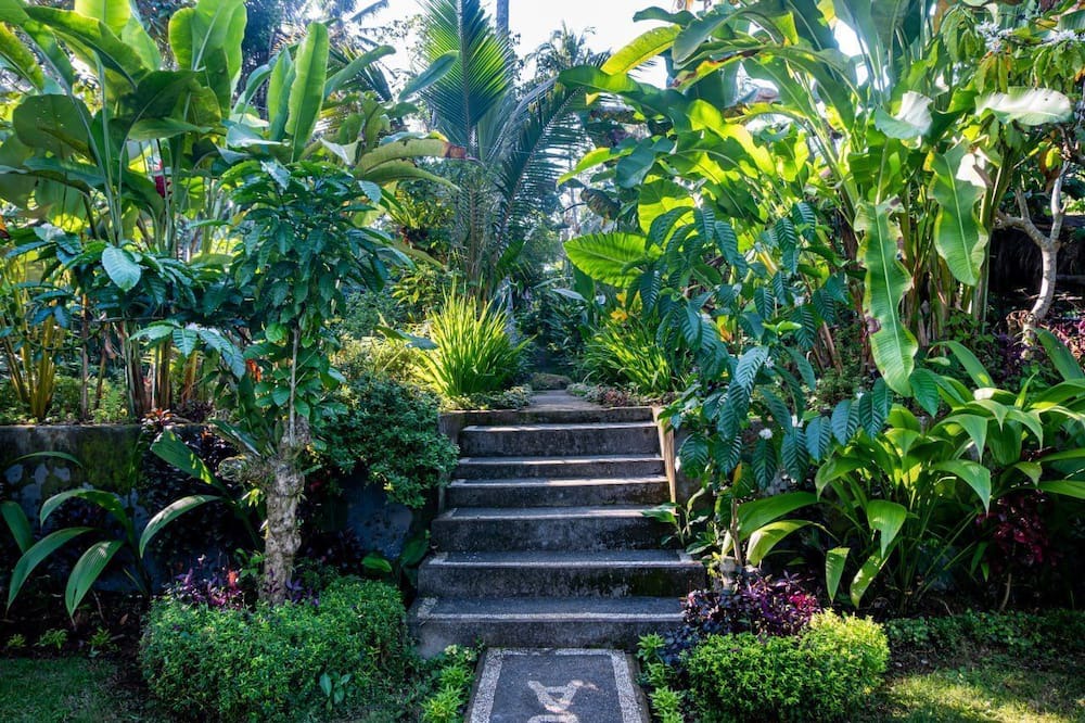 Photo of Outdoor in Tegallalang