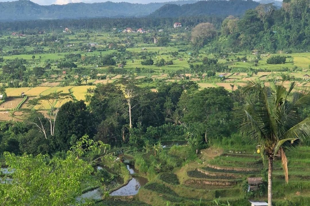 Photo of Outdoor in Ababi