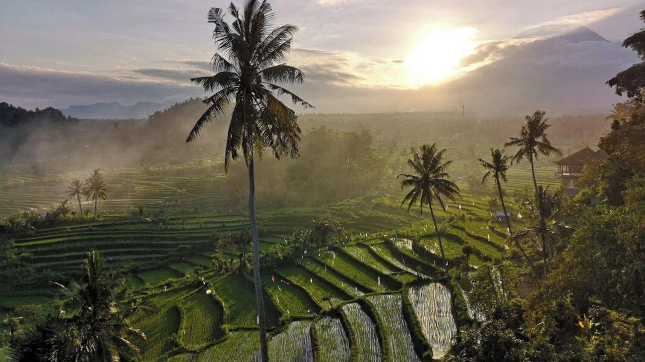 Photo of Outdoor in Ababi