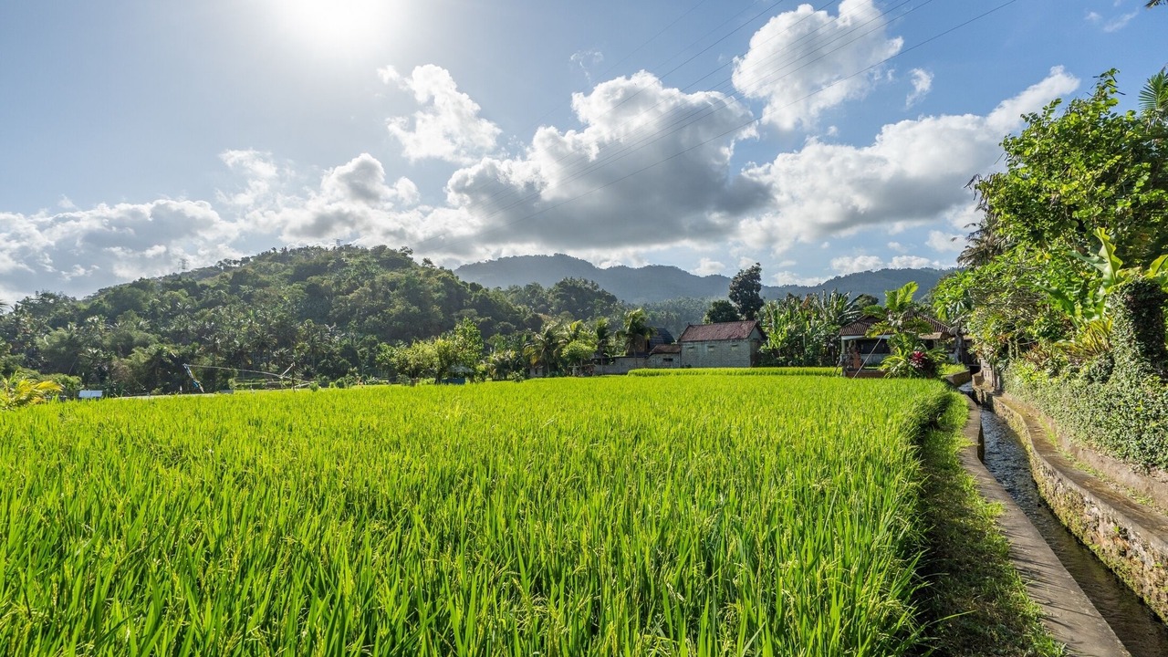 Photo of Others in Manggis
