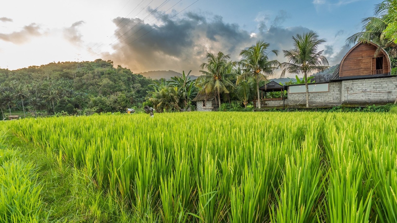 Photo of Outdoor in Manggis