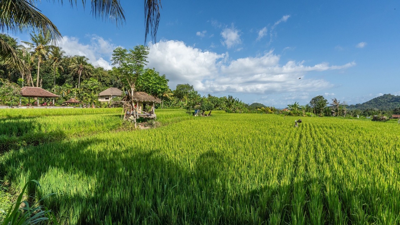 Photo of Outdoor in Manggis