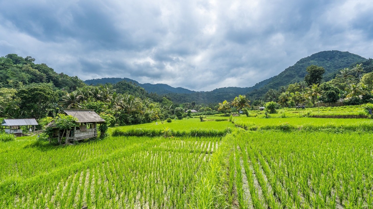 Photo of Outdoor in Manggis