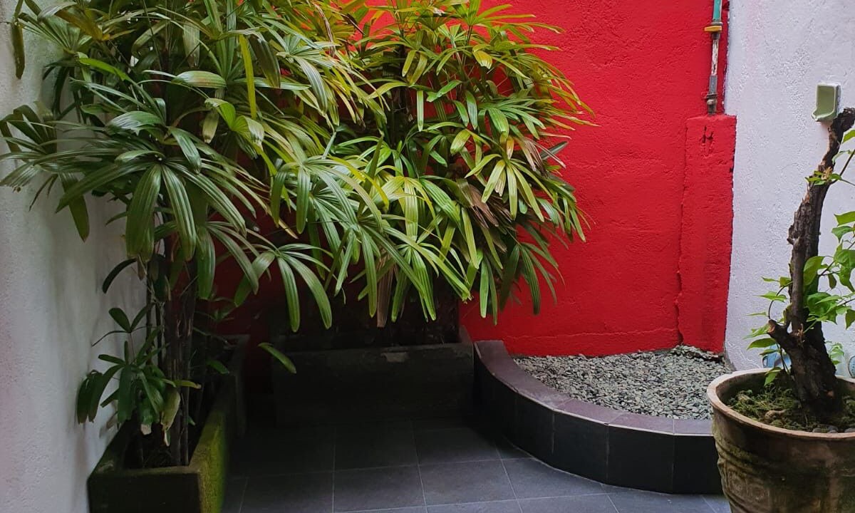 Photo of Outdoor in Padangbai