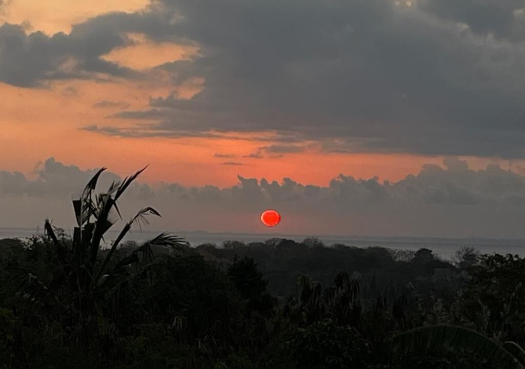 Photo of Outdoor in Mushroom Bay