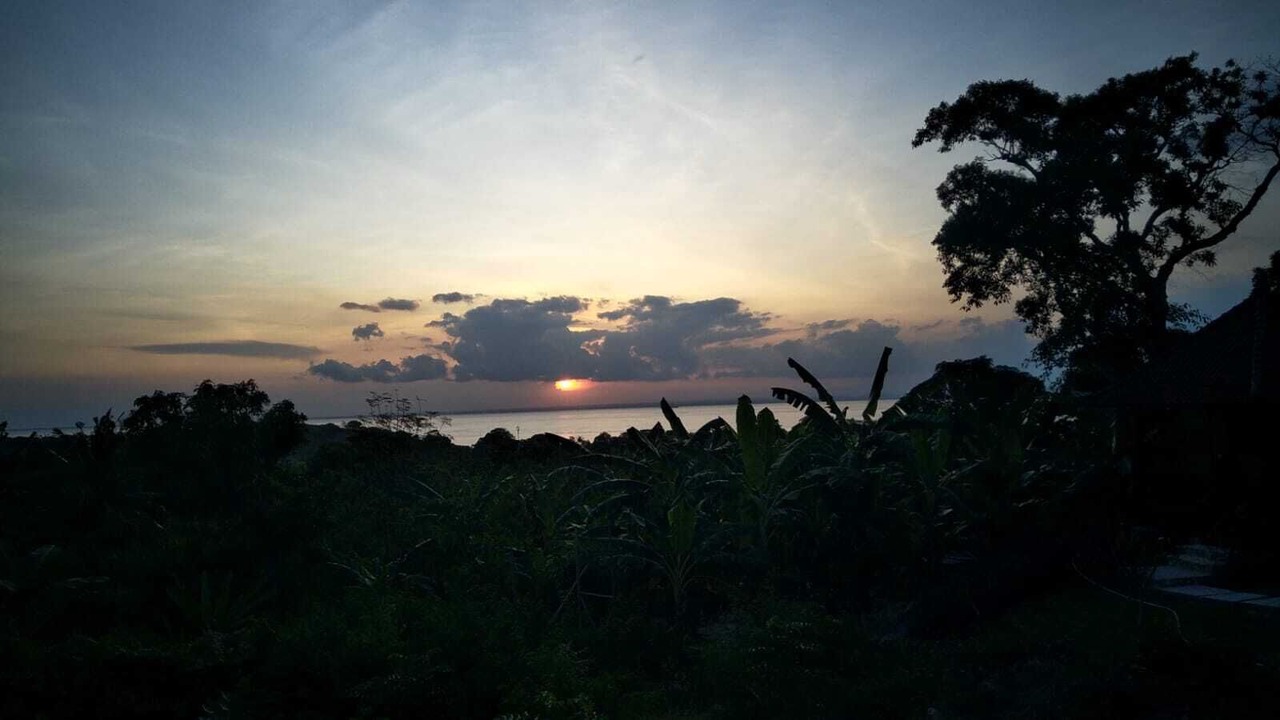 Photo of Others in Mushroom Bay