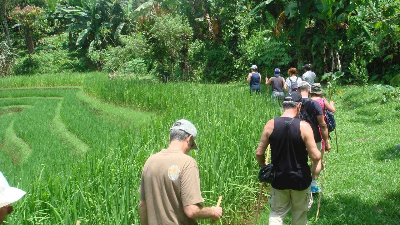 Photo of Outdoor in Blimbing