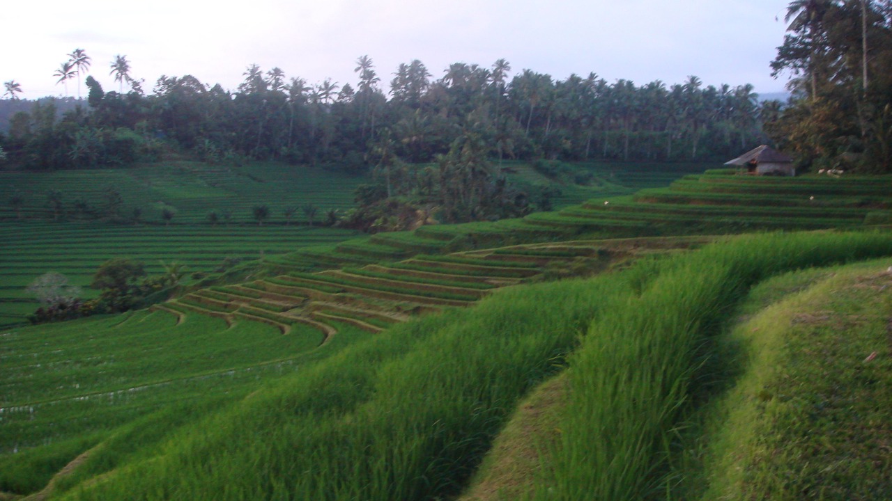 Photo of Outdoor in Blimbing