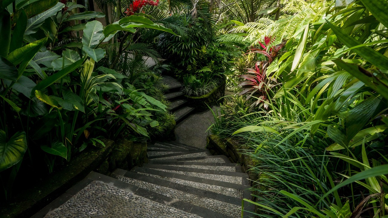 Photo of Outdoor in Ubud