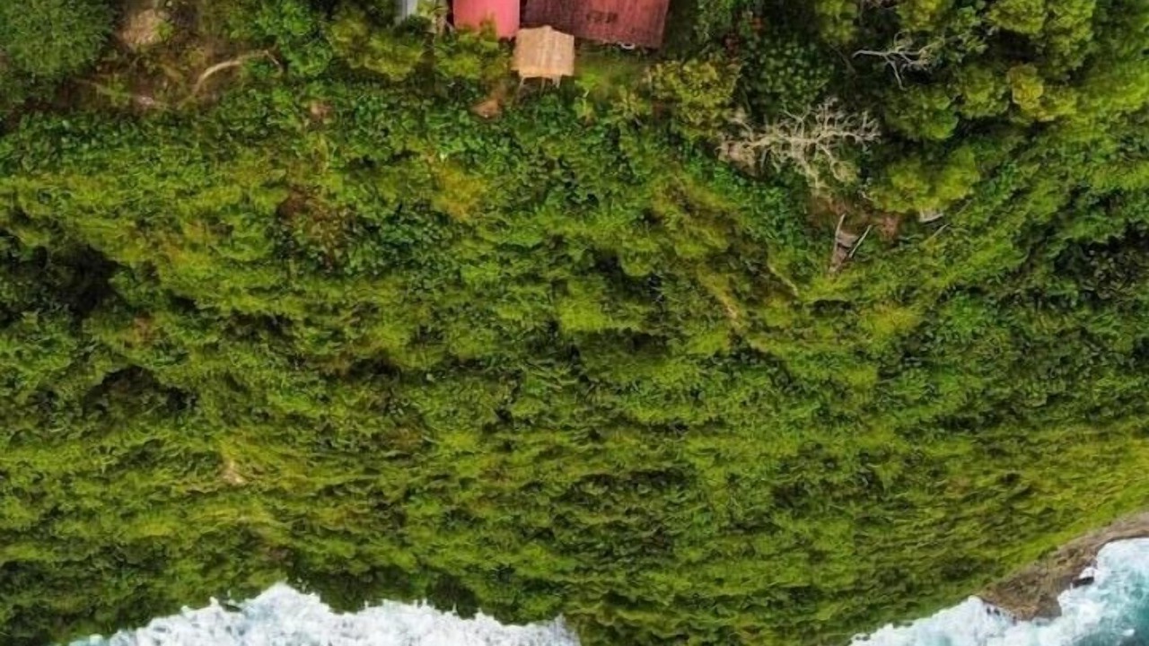 Photo of Outdoor in Batukandik