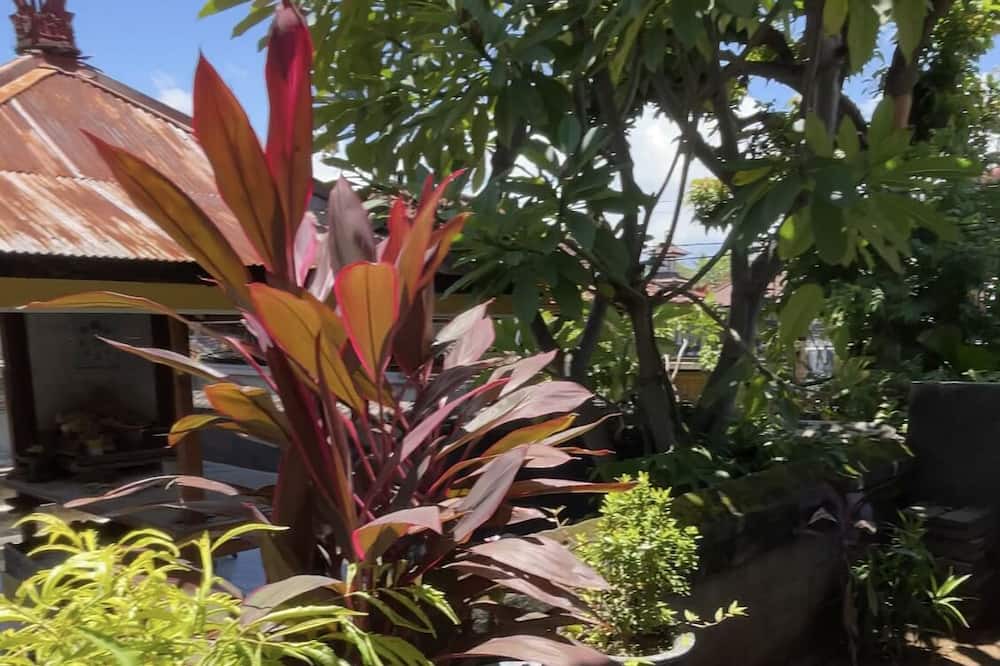 Photo of Outdoor in Buleleng