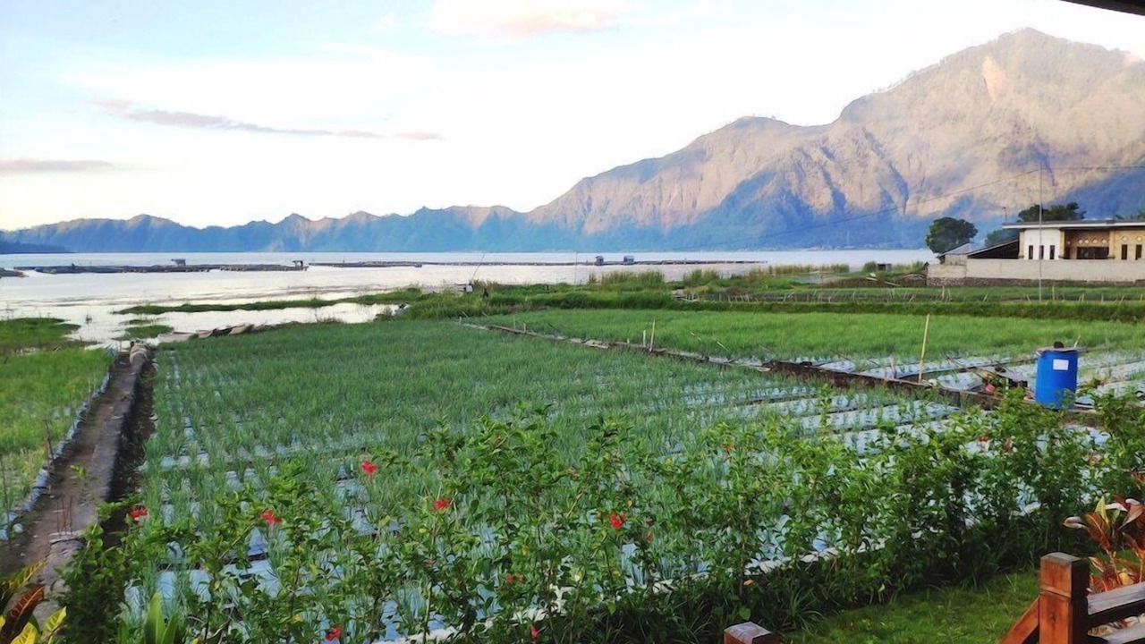 Photo of Outdoor in Kedisan