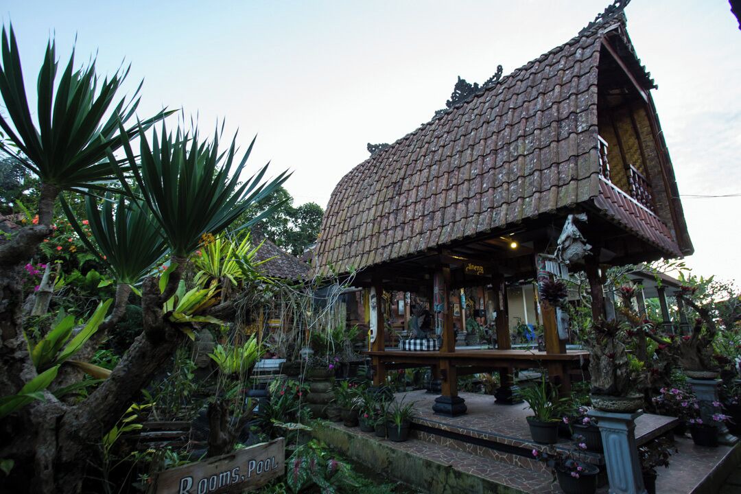 Photo of Outdoor in Nungnung