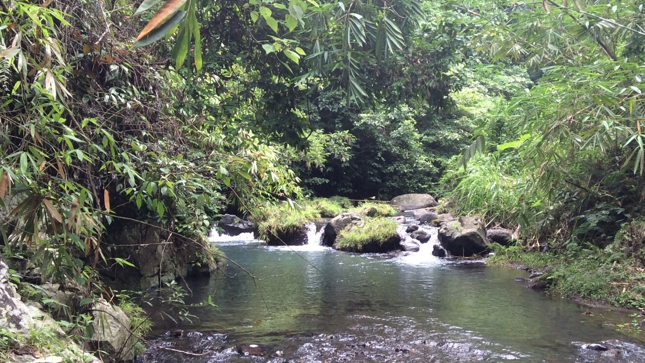 Photo of Outdoor in Sukasada