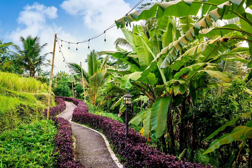 Photo of Outdoor in Tampaksiring