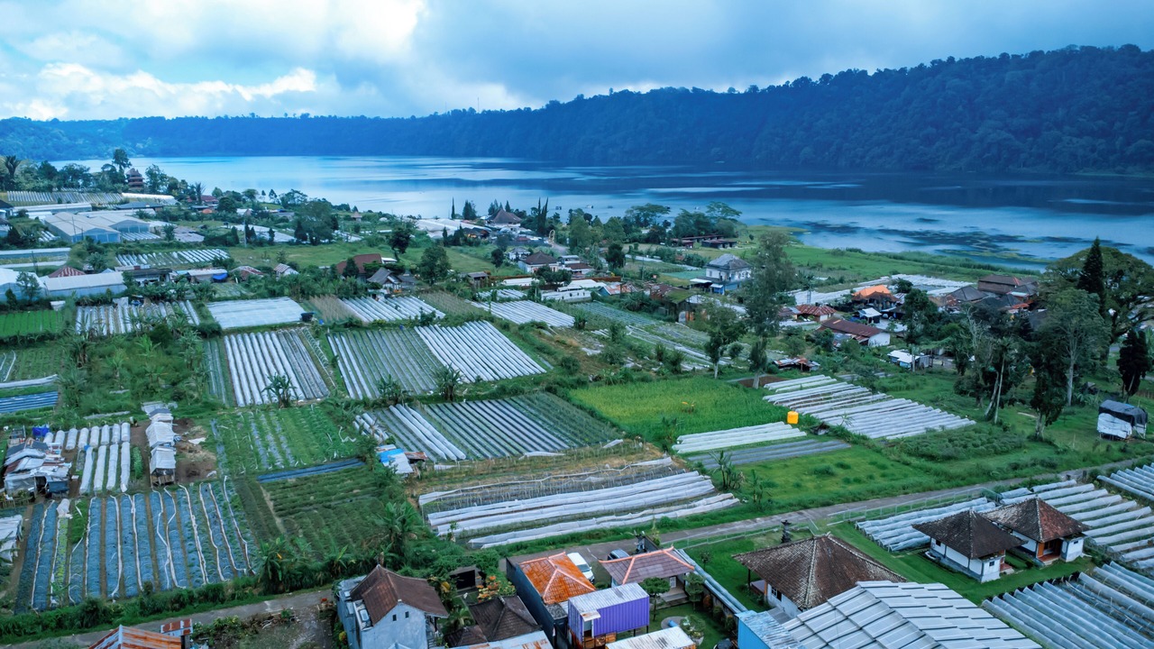 Photo of Outdoor in Bedugul