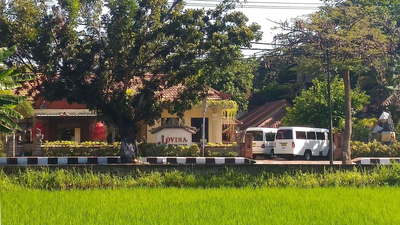 Photo of Outdoor in Lovina