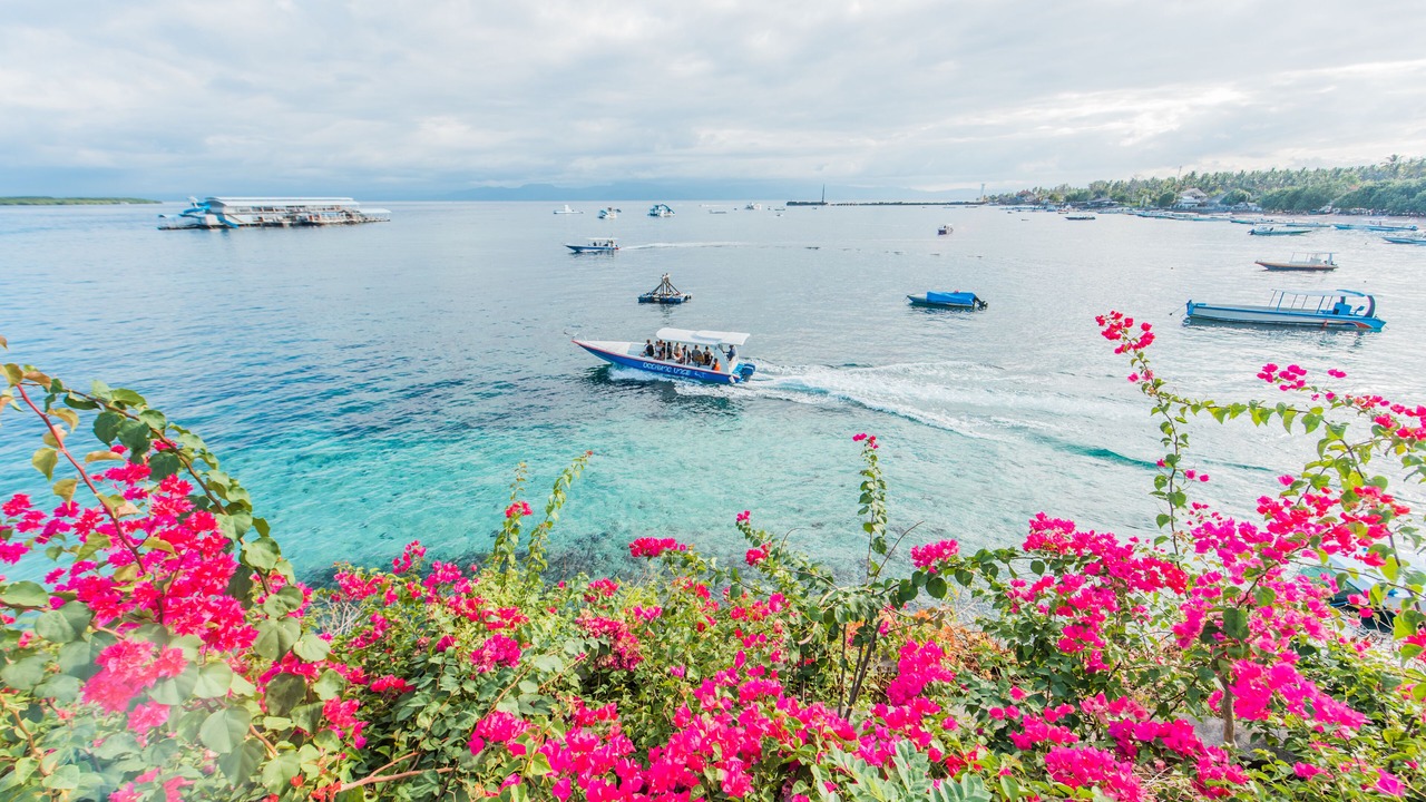Photo of Others in Penida Island