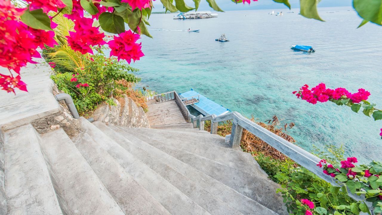 Photo of Others in Penida Island