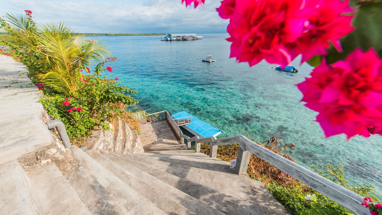 Photo of Others in Penida Island