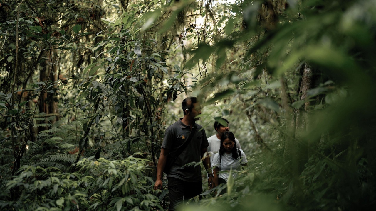 Photo of Outdoor in Munduk