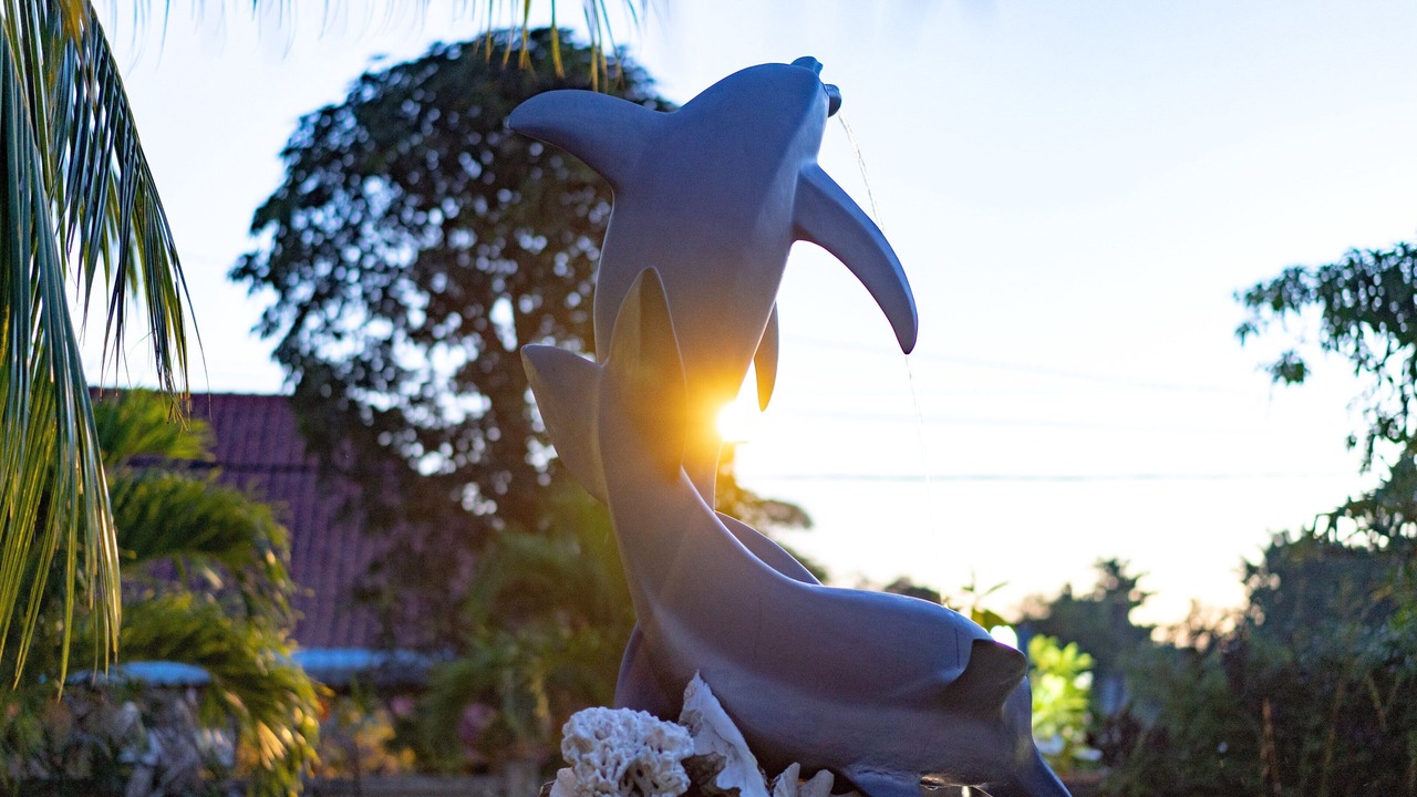 Photo of Outdoor in Mushroom Bay