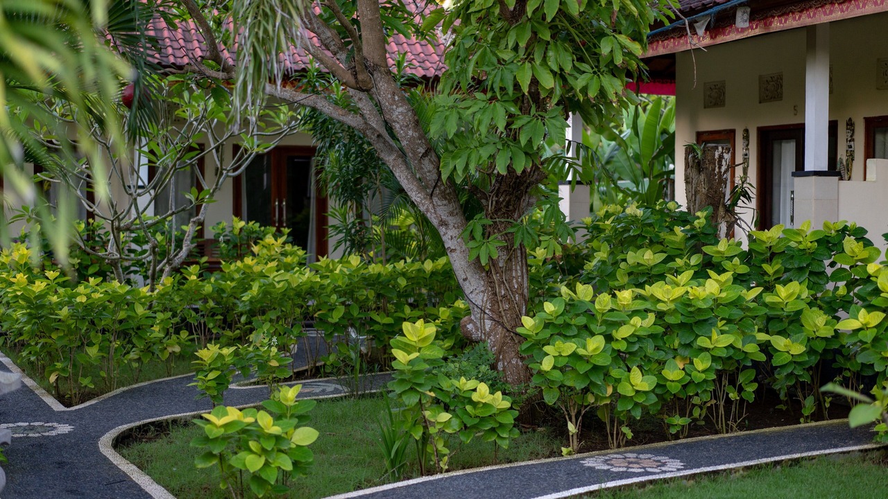 Photo of Outdoor in Mushroom Bay